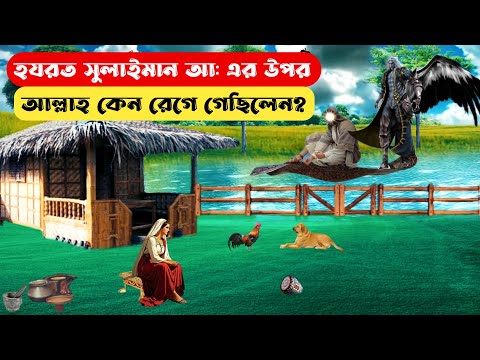 হজরত সুলায়মান আ: এর উপর আল্লাহ কেন নারাজ হয়েছিলেন || Hazrat Sulaiman AS