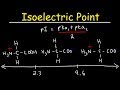 Amino Acids: Properties and pKa Values