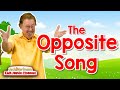 Understanding Opposites in Language