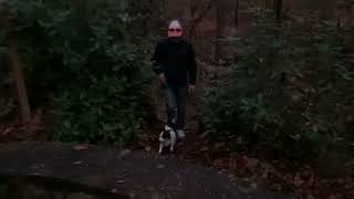 Samuel and Mojo in the woods