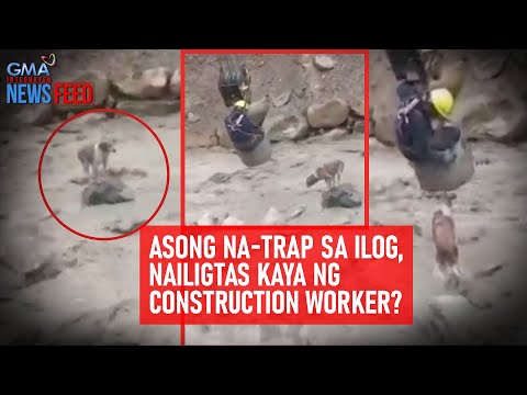 Asong Na Trap Sa Ilog Nailigtas Kaya Ng Construction Worker Gma