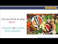 Dietary Concepts and Challenges