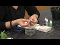 Plant Tissue Sectioning Techniques