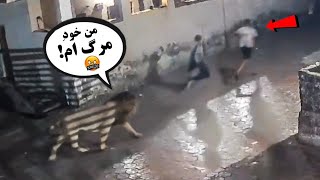 بازی در یک چشم به هم زدن تمام شد! | صحنه‌ های شوکه کننده (قسمت 5)
