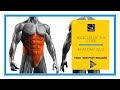 Core Muscles and Their Functions