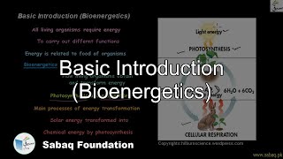 Basic Introduction (Bioenergetics)