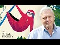 Biodiversity and Its Importance