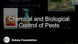 Chemical and Biological Control of Pests