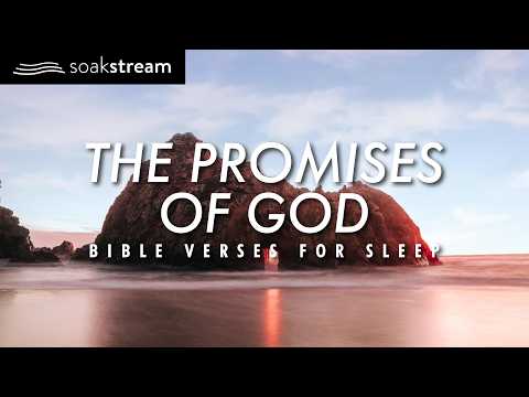 The Promises of God | Bible Verses For Sleep