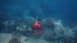 The Merman Backpack