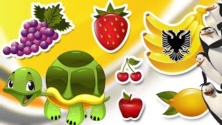Yes Yes Fruits Song│ Bleta ™