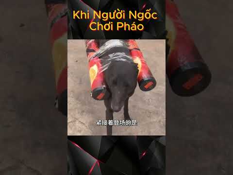 Khi Người Ngốc Chơi Pháo