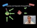 Understanding Vector Fields in Physics