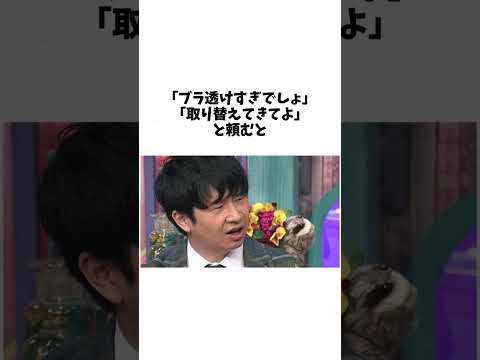 【オードリー】若林の元カノ