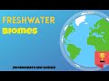 Wetlands and Freshwater Ecosystems