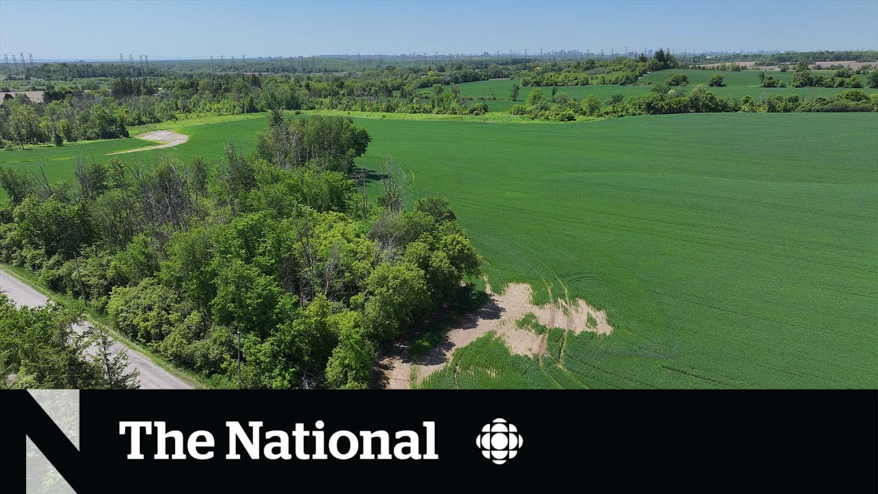 Ontario Greenbelt plan influenced by well-connected developers, AG says