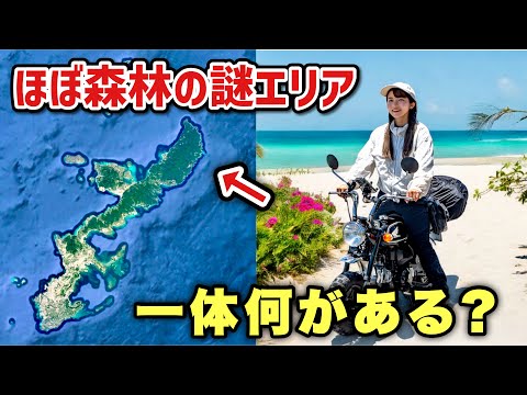 新テーマパーク開業間近の沖縄北部ってほぼ山だけど何があるの!?#モンキーバイク旅