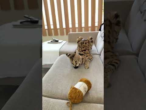 got locked out of my account yesterday but weโre just having a chill weekend!