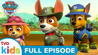 Pups Save a Giant Plant 🌱 | 🐶 PAW PATROL ⛑️ | Season 3 | Watch Full Episodes 📺 | TVOkids