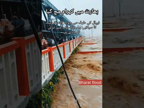 Devastating Flood in India | 1.4 Million Cusecs Released from Koshi Barrage #flood
