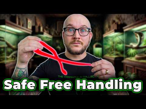 Free Handling Venomous Snakes, The Safe Way