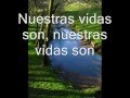 Comprensión del Video Tutorial