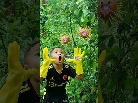 Wow! SMART idea and USEFUL with single Mom #bushcraft #campping #outdoors #useful #idea