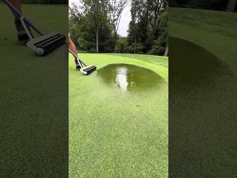 Por que manter um campo de golfe é mais difícil do que parece?