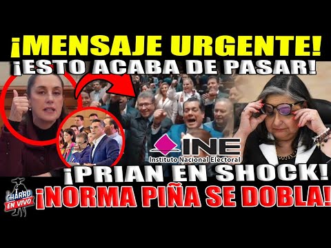 VIERNES DE JUSTICIA!! NORMA PIÑA LO PIERDE TODO ¡ESTE ANUNCIÓ LA HIZO CHILLAR! MILLONES EN JUEGO