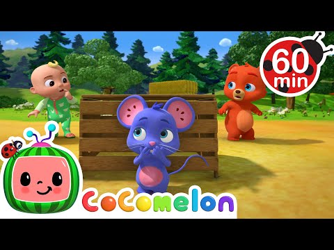 Peekaboo | CoComelon Animal Time | Animal Nursery Rhymes