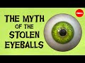 Mystical Village Lore and Legends