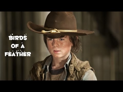 Carl Grimes-Birds of a Feather