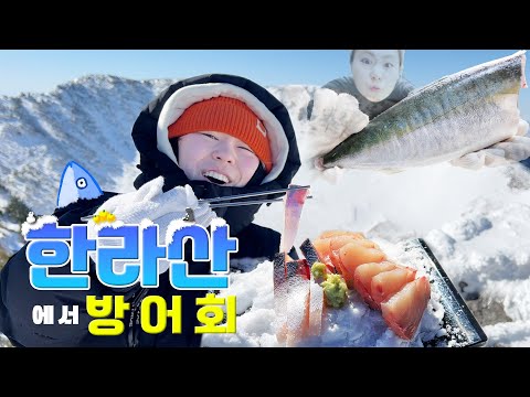 한라산 정상에서 방어해체