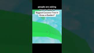 Biggest Tree in Grow a Garden? 🌴 #shorts