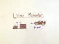 Impulse and Momentum Concepts