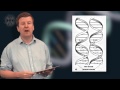 Cell Biology Concepts and Functions