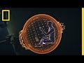 Exploring the Depths: A Dive into Ocean Exploration