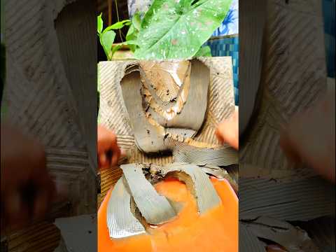 🌺🙏ভবময়ীর রূপ দেখিয়া তাল ধরেছে ভোলানাথ🚩শিব বববম বম ববম ববম বাজায় বিদায় কাল শিব বববম বম ববম ববম🙏🌺