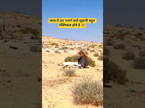 अरब में ऊंट चराने वाले सूडानी 😍 #vlog #minivlog #youtubeshorts #tranding #arablife #viral #fyp
