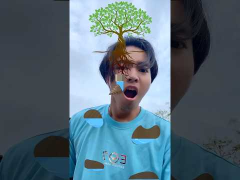 Game Cari Air Untuk Pohon