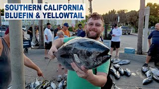 Bluefin & Yellowtail Fishing with Bucket List Tuna Chasers on the Poseidon - Deep Sea Yellowfin