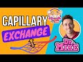 Capillary Exchange and Heart Function