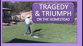 TRAGEDY & TRIUMPH ON THE HOMESTEAD