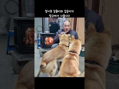 큰일 날뻔했습니다