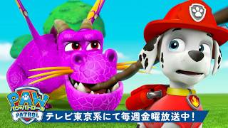 パウ・パトロール | PAW Patrolのアクションいっぱいパップタグ・マラソン！ | 1時間 | Rubble & Crew | テレビ東京系にて放送中