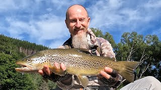 Early Morning Session Looking For Good Browns NZ