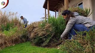 PRIMEROS PASOS para un SUELO FÉRTIL en la MINI GRANJA👨‍🌾