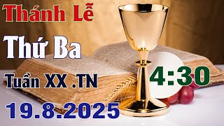 Thánh Lễ Trực Tuyến 4:30 Hôm nay | Thứ Ba Tuần XX Mùa Thường Niên 19/8/ 2025 Trực Tiếp