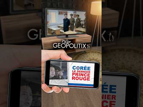 Un Netflix géopolitique? 📱 Ça se passe sur www.mistergeopolitix.tv #géopolitique #culture