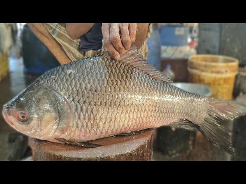 Fish Cutting Skills || Super Huge Katla Carp Fish Skinning & Chopping By Professional Cutter ||